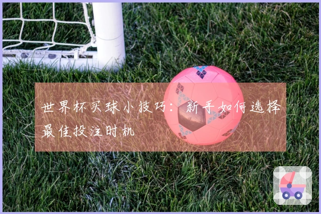 世界杯买球小技巧：新手如何选择最佳投注时机
