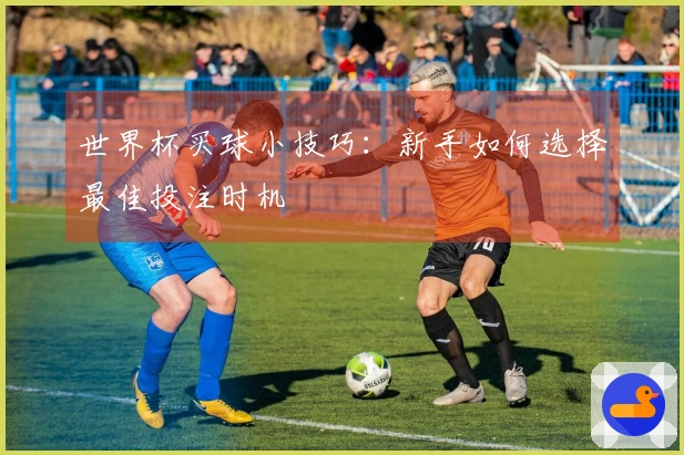 世界杯买球小技巧：新手如何选择最佳投注时机