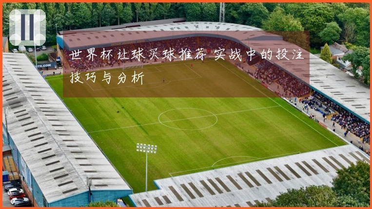 世界杯让球买球推荐 实战中的投注技巧与分析