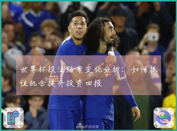 世界杯投注赔率变化分析：如何抓住机会提升投资回报